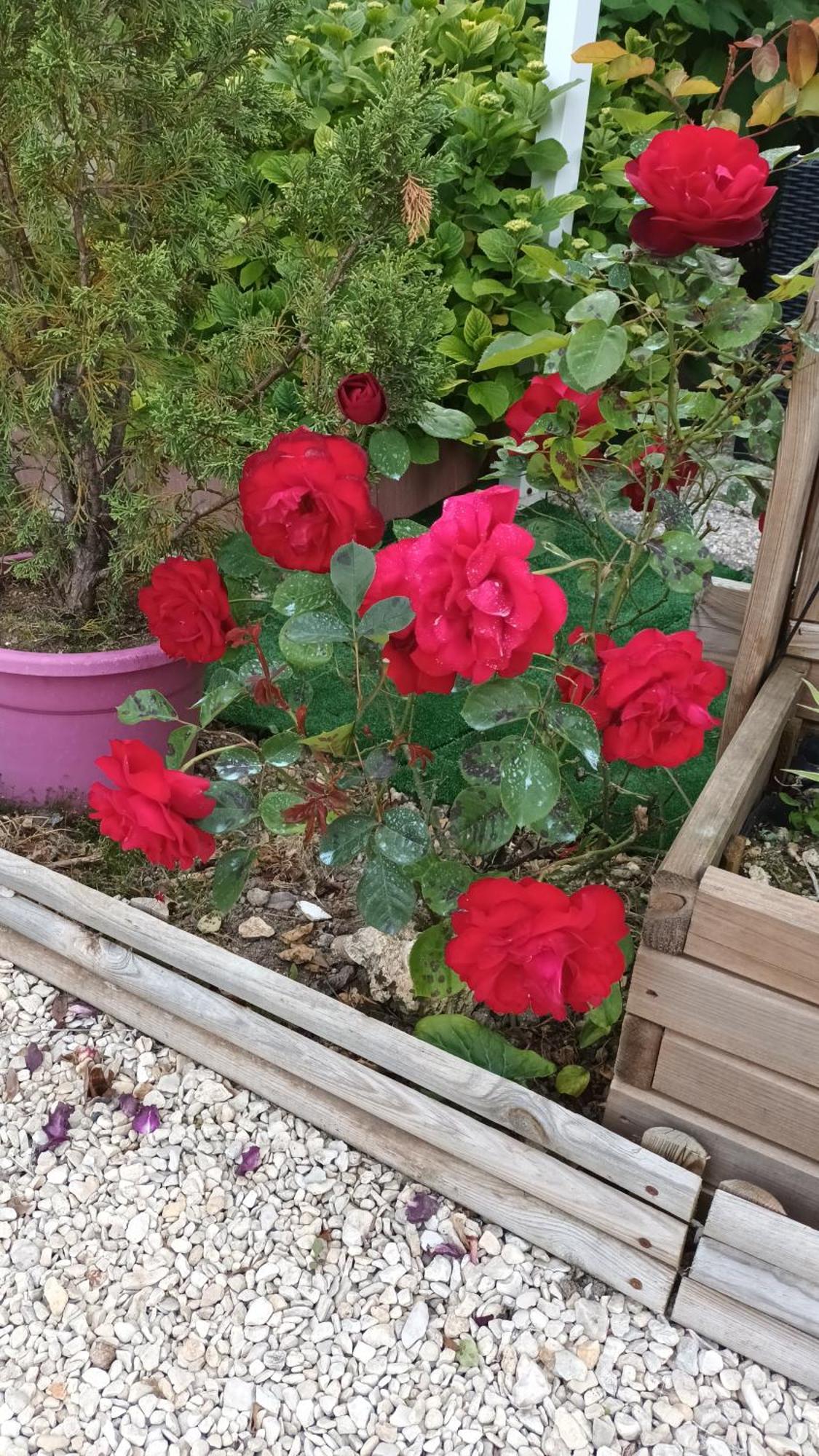 Le Clos Des Passiflores Pons Exteriér fotografie