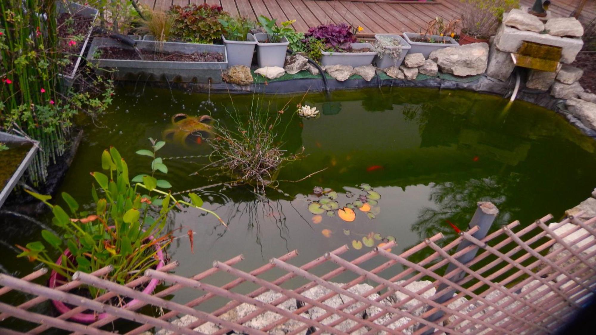 Le Clos Des Passiflores Pons Exteriér fotografie